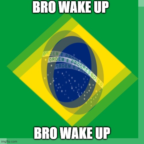 BRO WAKE UP; BRO WAKE UP | image tagged in you are going to brazil | made w/ Imgflip meme maker