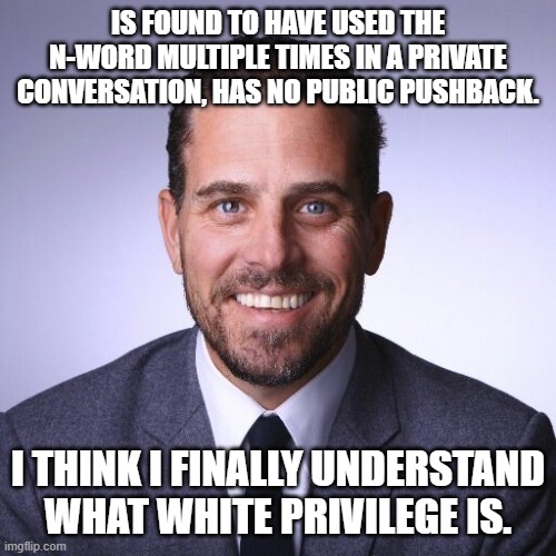 It's (D)ifferent when he does it. | IS FOUND TO HAVE USED THE N-WORD MULTIPLE TIMES IN A PRIVATE CONVERSATION, HAS NO PUBLIC PUSHBACK. I THINK I FINALLY UNDERSTAND WHAT WHITE PRIVILEGE IS. | image tagged in hunter biden | made w/ Imgflip meme maker