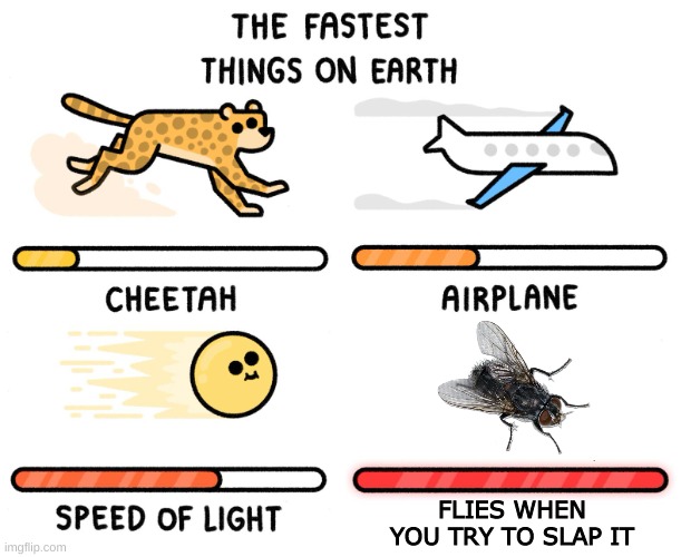 Fastest thing on earth | FLIES WHEN YOU TRY TO SLAP IT | image tagged in fastest thing on earth,flies | made w/ Imgflip meme maker