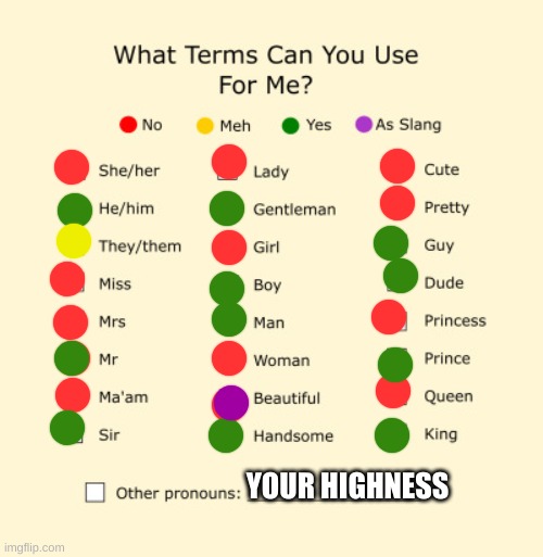 lol | YOUR HIGHNESS | image tagged in pronouns sheet | made w/ Imgflip meme maker