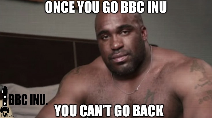 BBCINU | ONCE YOU GO BBC INU; YOU CAN’T GO BACK | image tagged in bbc inu | made w/ Imgflip meme maker