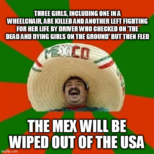 succesful mexican | THREE GIRLS, INCLUDING ONE IN A WHEELCHAIR, ARE KILLED AND ANOTHER LEFT FIGHTING FOR HER LIFE BY DRIVER WHO CHECKED ON 'THE DEAD AND DYING GIRLS ON THE GROUND' BUT THEN FLED; THE MEX WILL BE WIPED OUT OF THE USA | image tagged in succesful mexican | made w/ Imgflip meme maker