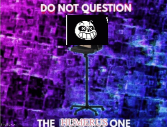 High Quality DO NOT QUESTION THE HUMERUS ONE Blank Meme Template