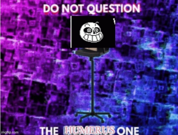 DO NOT QUESTION THE HUMERUS ONE | image tagged in do not question the humerus one | made w/ Imgflip meme maker