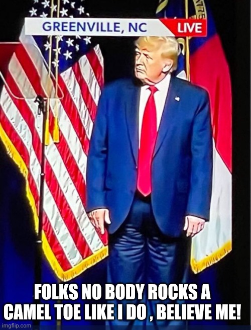 Camel trump | FOLKS NO BODY ROCKS A CAMEL TOE LIKE I DO , BELIEVE ME! | image tagged in trump,trump supporter,maga,conservatives,republican,biden | made w/ Imgflip meme maker