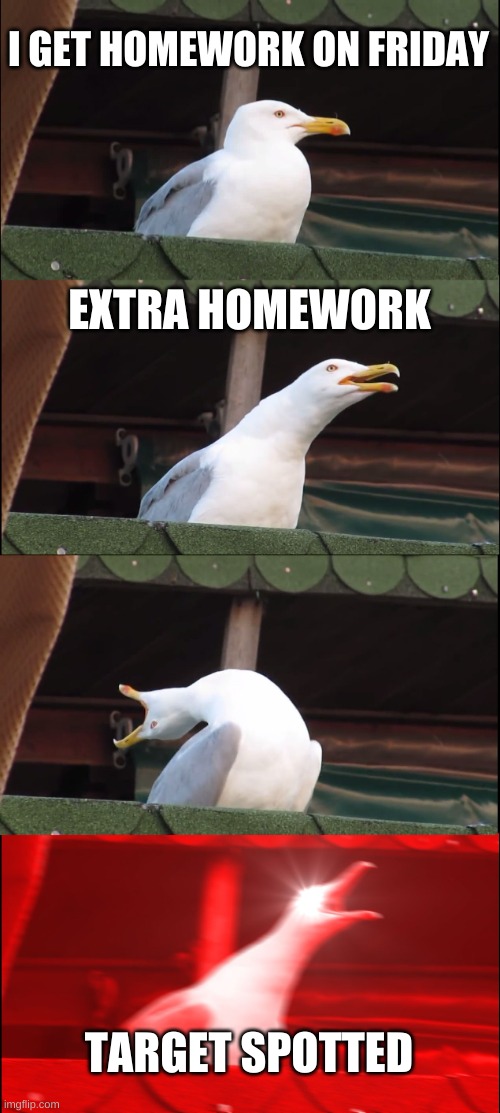 Yes this  | I GET HOMEWORK ON FRIDAY; EXTRA HOMEWORK; TARGET SPOTTED | image tagged in memes,inhaling seagull | made w/ Imgflip meme maker