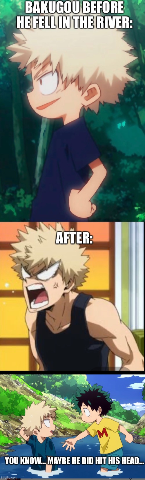MeMbErS oF tHe AgEnCy BaKuGoU | BAKUGOU BEFORE HE FELL IN THE RIVER:; AFTER:; YOU KNOW... MAYBE HE DID HIT HIS HEAD... | image tagged in memes | made w/ Imgflip meme maker