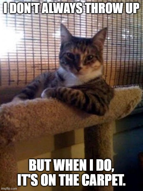 The Most Interesting Cat In The World Meme | I DON'T ALWAYS THROW UP BUT WHEN I DO, IT'S ON THE CARPET. | image tagged in memes,the most interesting cat in the world | made w/ Imgflip meme maker