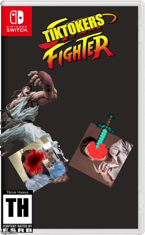 tiktok fighter |  TIKTOKERS | image tagged in nintendo switch | made w/ Imgflip meme maker