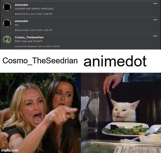 another day in roblox | Cosmo_TheSeedrian; animedot | image tagged in memes,woman yelling at cat,animaniacs | made w/ Imgflip meme maker