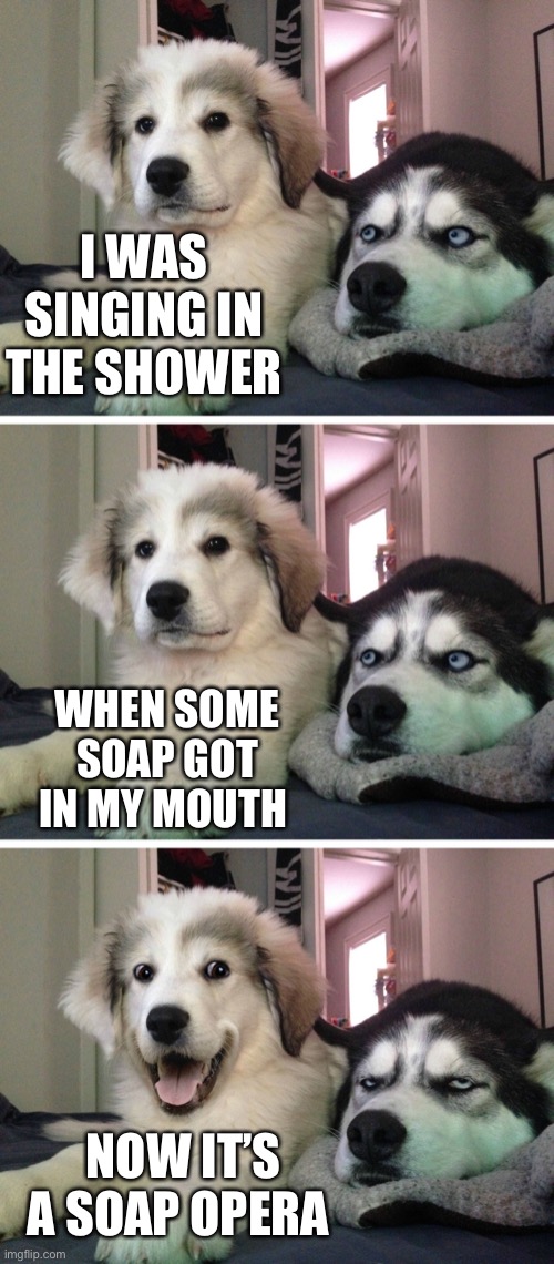 Dad jokes suck |  I WAS SINGING IN THE SHOWER; WHEN SOME SOAP GOT IN MY MOUTH; NOW IT’S A SOAP OPERA | image tagged in bad pun dogs,memes,crappy memes,stupid memes,dad joke | made w/ Imgflip meme maker