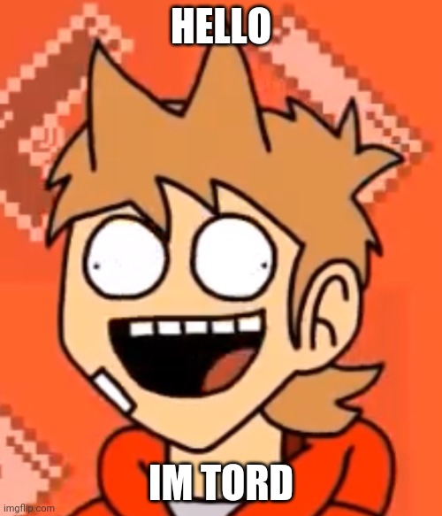 T O R D | HELLO; IM TORD | image tagged in tordfaic,tord,eddsworld | made w/ Imgflip meme maker