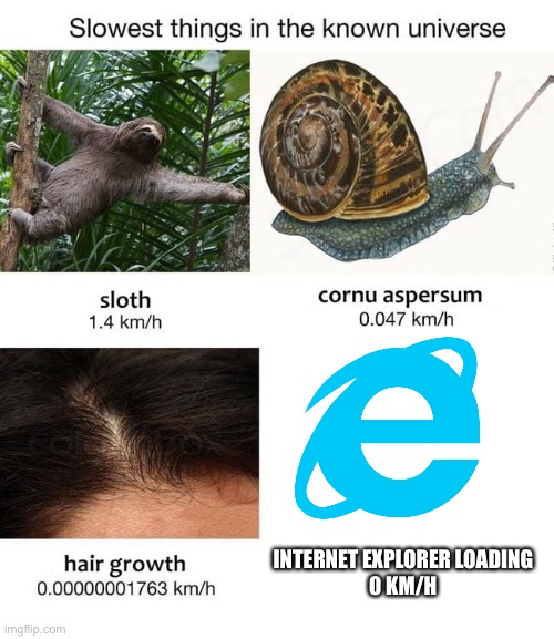 Slow | INTERNET EXPLORER LOADING
0 KM/H | image tagged in slowest things | made w/ Imgflip meme maker