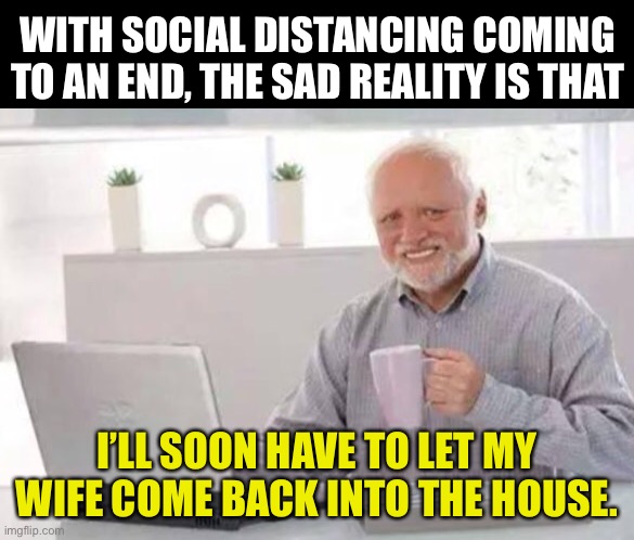 Back to normal | WITH SOCIAL DISTANCING COMING TO AN END, THE SAD REALITY IS THAT; I’LL SOON HAVE TO LET MY WIFE COME BACK INTO THE HOUSE. | image tagged in harold | made w/ Imgflip meme maker