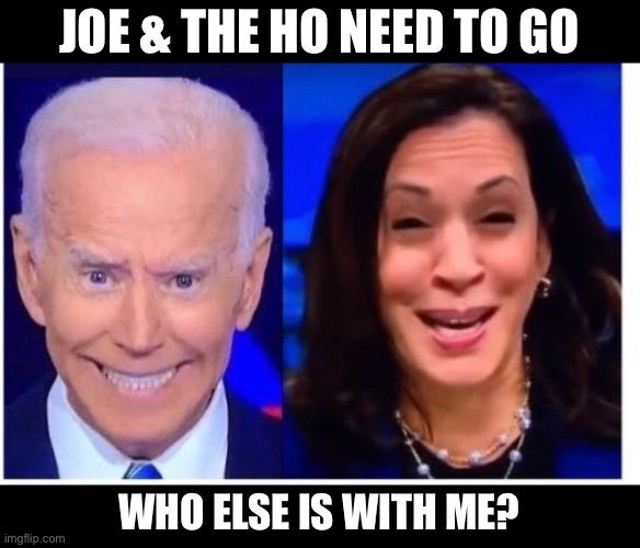 Joe and the Ho | JOE & THE HO NEED TO GO; WHO ELSE IS WITH ME? | image tagged in biden harris | made w/ Imgflip meme maker