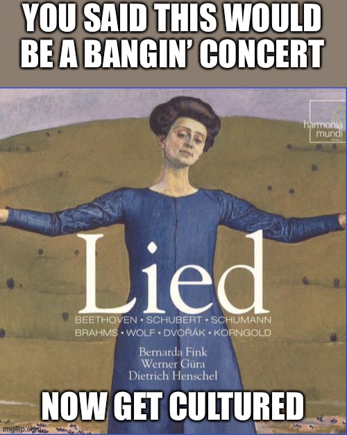 Classical Lied | YOU SAID THIS WOULD BE A BANGIN’ CONCERT; NOW GET CULTURED | image tagged in classical lied | made w/ Imgflip meme maker