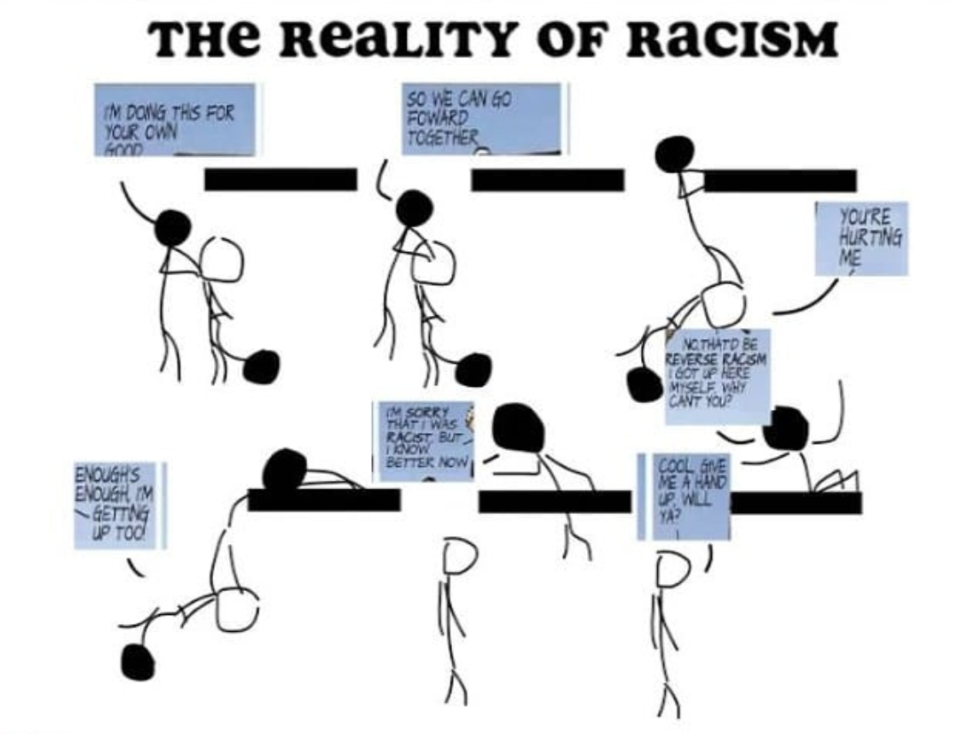 High Quality reality of racism Blank Meme Template