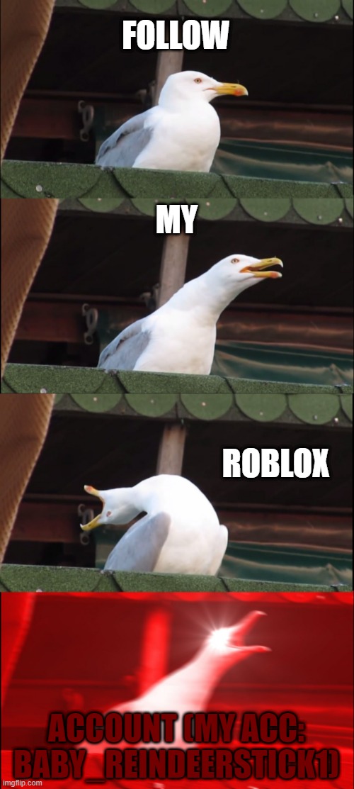 Inhaling Seagull | FOLLOW; MY; ROBLOX; ACCOUNT (MY ACC: BABY_REINDEERSTICK1) | image tagged in memes,inhaling seagull,to join me in game,roblox,seagull | made w/ Imgflip meme maker