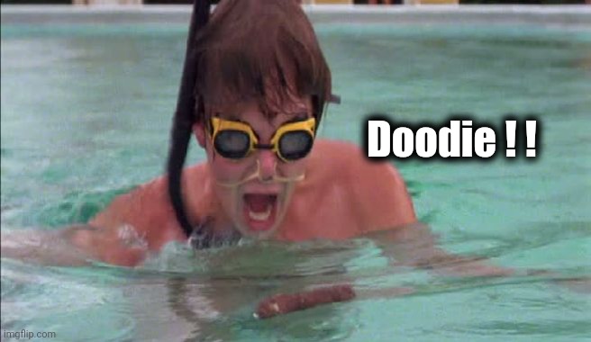 Caddyshack Doody scene | Doodie ! ! | image tagged in caddyshack doody scene | made w/ Imgflip meme maker