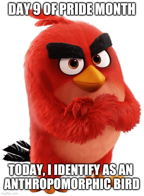 This is who I am | DAY 9 OF PRIDE MONTH; TODAY, I IDENTIFY AS AN 
ANTHROPOMORPHIC BIRD | image tagged in red bird the angry birds movie,who i am,pride month,lgbtq | made w/ Imgflip meme maker
