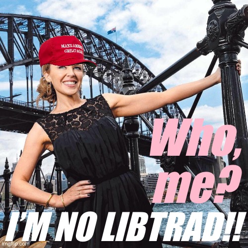 I’m no libtrad… have you checked the hat???? | Who, me? I’M NO LIBTRAD!! | image tagged in maga kylie sydney bridge | made w/ Imgflip meme maker