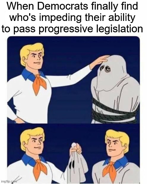 scooby-doo | When Democrats finally find who's impeding their ability to pass progressive legislation | image tagged in scooby-doo | made w/ Imgflip meme maker