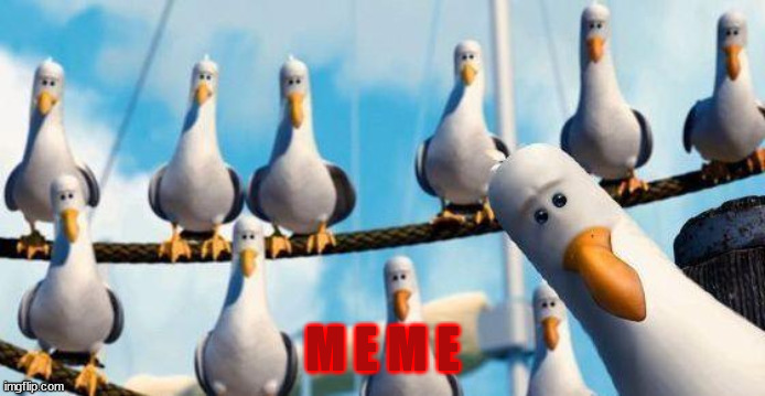 Nemo Birds | M E M E | image tagged in nemo birds | made w/ Imgflip meme maker