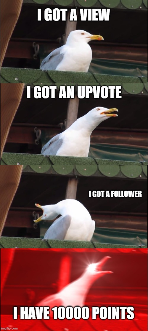 Can anyone relate | I GOT A VIEW; I GOT AN UPVOTE; I GOT A FOLLOWER; I HAVE 10000 POINTS | image tagged in memes,inhaling seagull | made w/ Imgflip meme maker