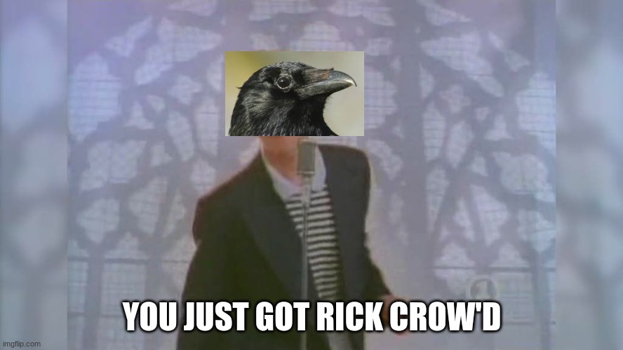 rick crow'd | YOU JUST GOT RICK CROW'D | image tagged in rick roll,crow | made w/ Imgflip meme maker