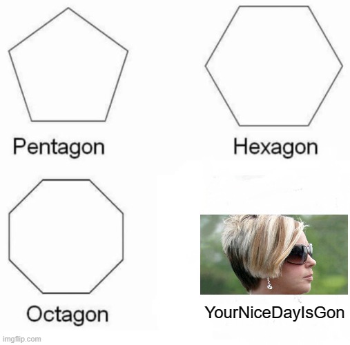 idk what to call it ._. | YourNiceDayIsGon | image tagged in memes,pentagon hexagon octagon | made w/ Imgflip meme maker