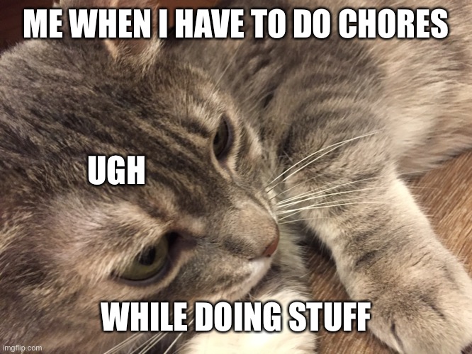 Annoyed Kitty | ME WHEN I HAVE TO DO CHORES; UGH; WHILE DOING STUFF | image tagged in annoyed kitty | made w/ Imgflip meme maker