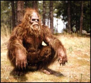 sitting sasquatch Blank Meme Template