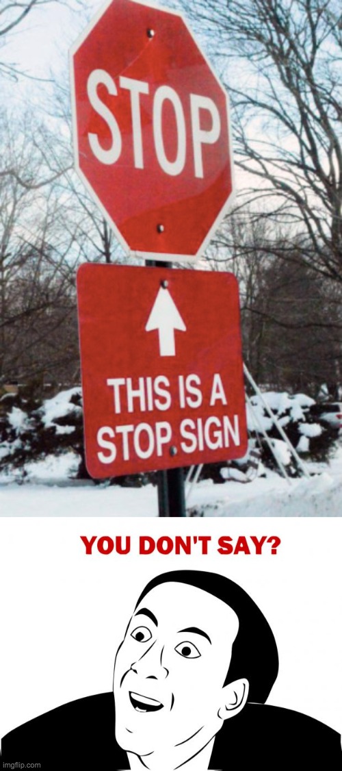 Oh, thanks, its not like that is a sign that has in bold words, "STOP" | image tagged in memes,you don't say | made w/ Imgflip meme maker
