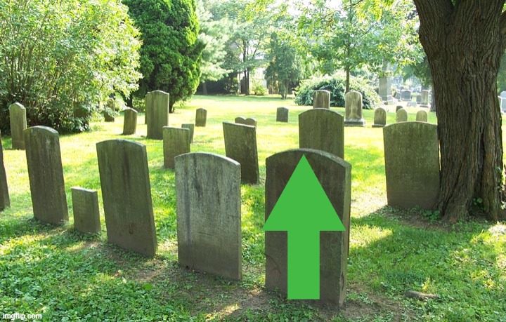 Cemetery | image tagged in cemetery | made w/ Imgflip meme maker