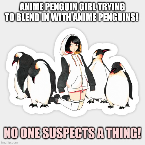 Anime penguins | ANIME PENGUIN GIRL TRYING TO BLEND IN WITH ANIME PENGUINS! NO ONE SUSPECTS A THING! | image tagged in anime,anime girl,penguins | made w/ Imgflip meme maker