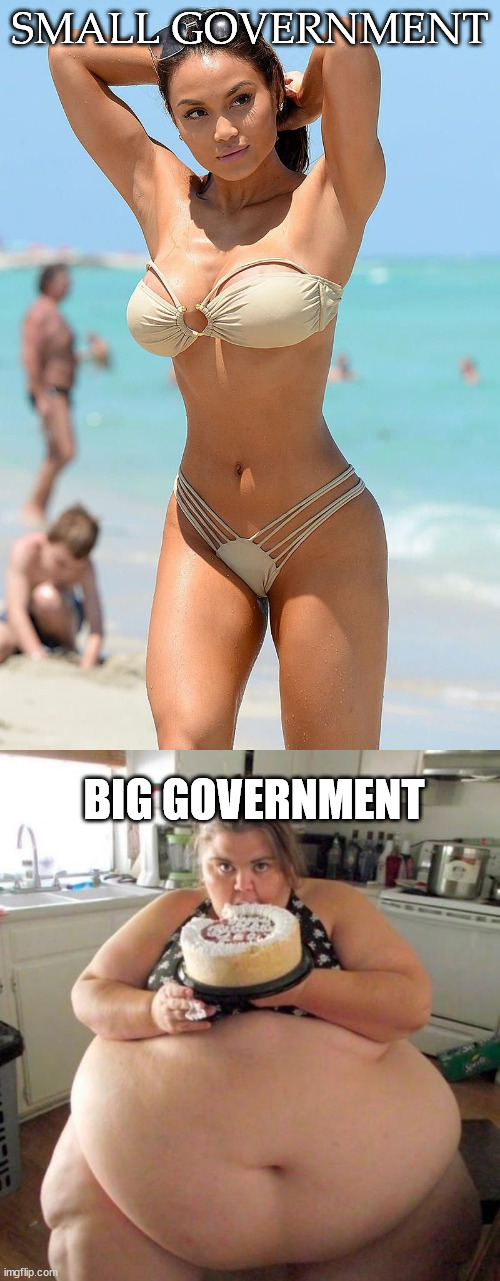 Putting government size in a context everyone should understand. | SMALL GOVERNMENT; BIG GOVERNMENT | image tagged in fat woman,big government,sexy woman,bikini,ugly guy,omg | made w/ Imgflip meme maker