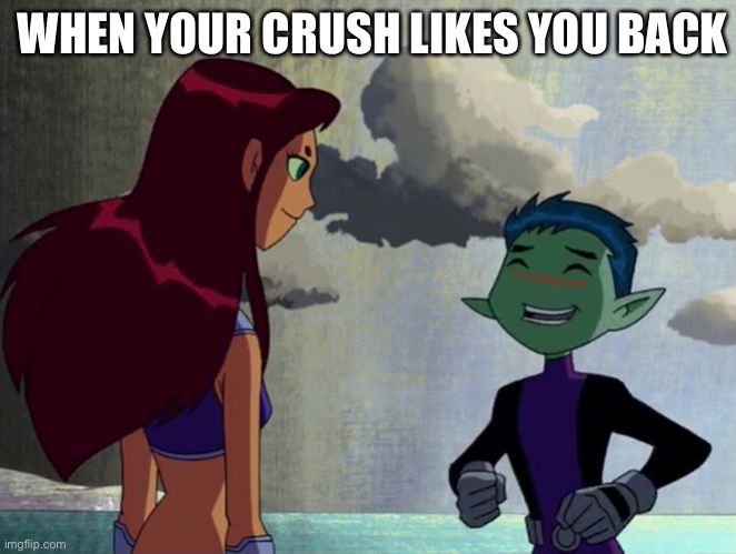 Beast Boy and Starfire meme | WHEN YOUR CRUSH LIKES YOU BACK | image tagged in teen titans,cartoon network,dc,starfire,when your crush,smile | made w/ Imgflip meme maker