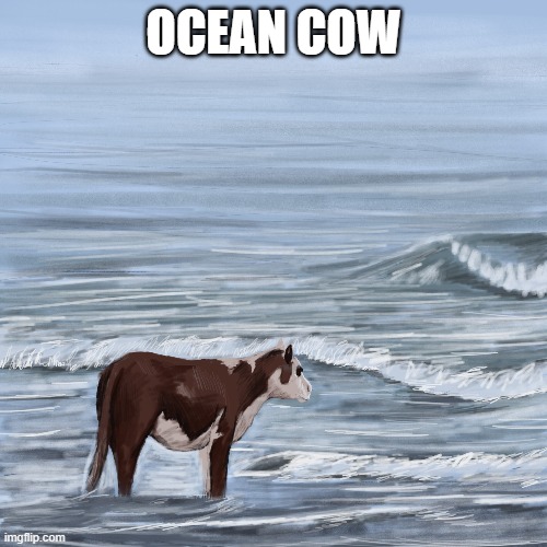 OCEAN COW | made w/ Imgflip meme maker