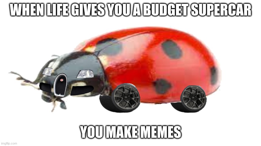 buggati | WHEN LIFE GIVES YOU A BUDGET SUPERCAR; YOU MAKE MEMES | image tagged in buggati | made w/ Imgflip meme maker