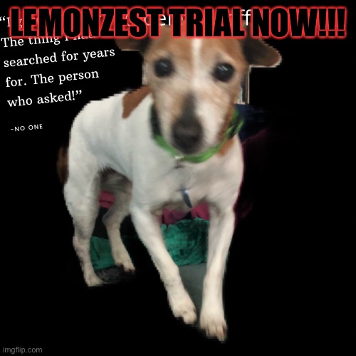 Deleted | LEMONZEST TRIAL NOW!!! | image tagged in deleted | made w/ Imgflip meme maker