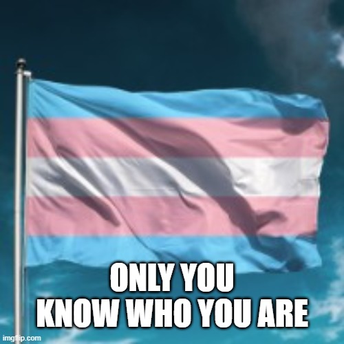 You know you | ONLY YOU KNOW WHO YOU ARE | image tagged in trans flag,identity,gender,transgender | made w/ Imgflip meme maker