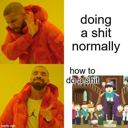 how i do poos | doing a shit normally; how to do a shit | image tagged in memes,drake hotline bling | made w/ Imgflip meme maker