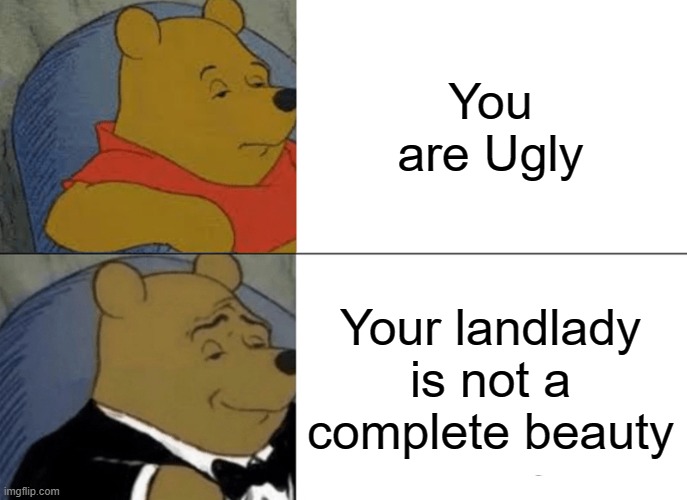 I´m Ugly | You are Ugly; Your landlady is not a complete beauty | image tagged in memes,tuxedo winnie the pooh,ugly,fun,hello,funny | made w/ Imgflip meme maker