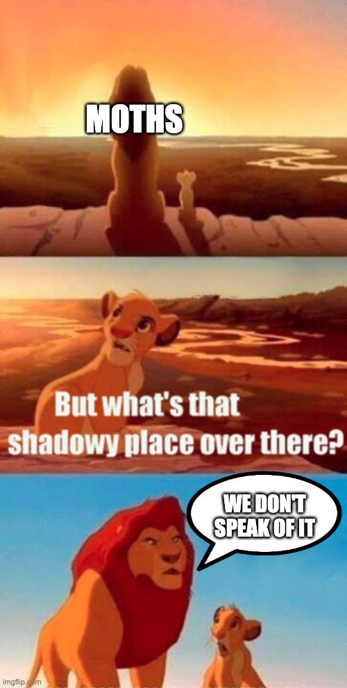 moths | MOTHS; WE DON'T SPEAK OF IT | image tagged in memes,simba shadowy place | made w/ Imgflip meme maker