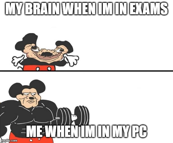 Micky Mouse | MY BRAIN WHEN IM IN EXAMS; ME WHEN IM IN MY PC | image tagged in micky mouse | made w/ Imgflip meme maker
