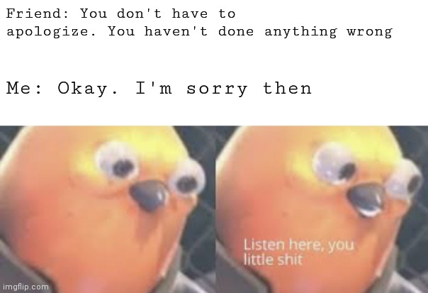 Listen here you little shit bird | Friend: You don't have to apologize. You haven't done anything wrong; Me: Okay. I'm sorry then | image tagged in listen here you little shit bird | made w/ Imgflip meme maker
