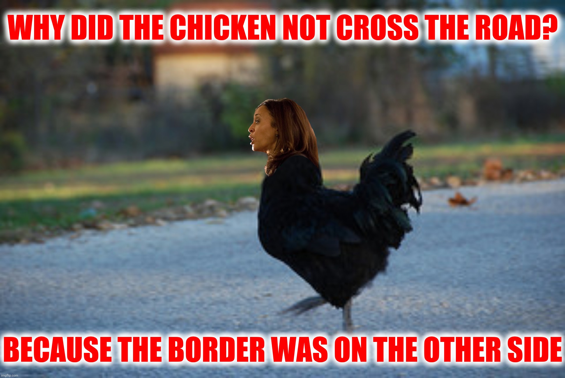 A chicken's gotta do what a chicken's gotta do | WHY DID THE CHICKEN NOT CROSS THE ROAD? BECAUSE THE BORDER WAS ON THE OTHER SIDE | image tagged in bad photoshop,kamala harris,chicken | made w/ Imgflip meme maker