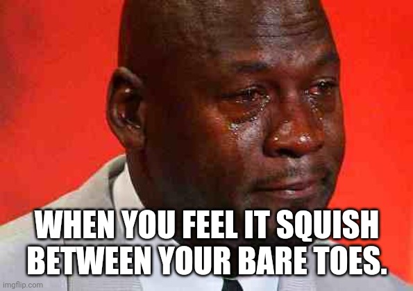 crying michael jordan | WHEN YOU FEEL IT SQUISH BETWEEN YOUR BARE TOES. | image tagged in crying michael jordan | made w/ Imgflip meme maker