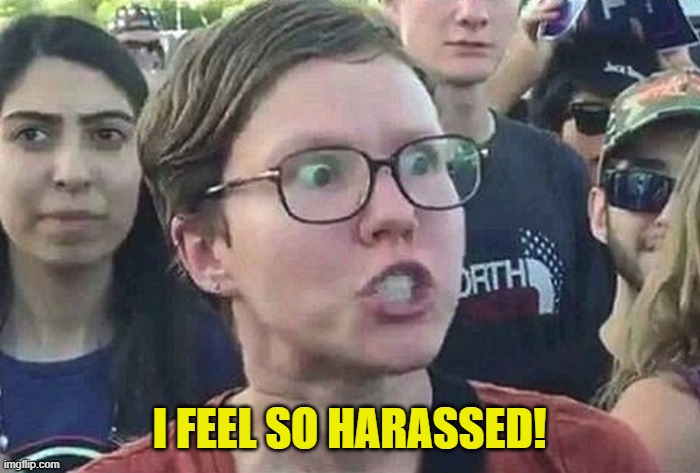 Triggered Liberal | I FEEL SO HARASSED! | image tagged in triggered liberal | made w/ Imgflip meme maker