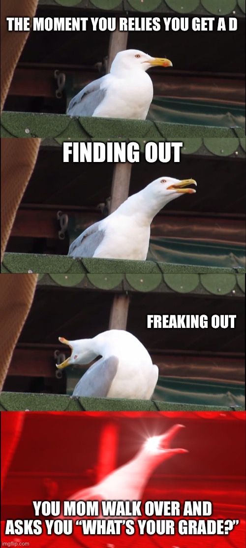 Inhaling Seagull Meme | THE MOMENT YOU RELIES YOU GET A D; FINDING OUT; FREAKING OUT; YOU MOM WALK OVER AND ASKS YOU “WHAT’S YOUR GRADE?” | image tagged in memes,inhaling seagull | made w/ Imgflip meme maker